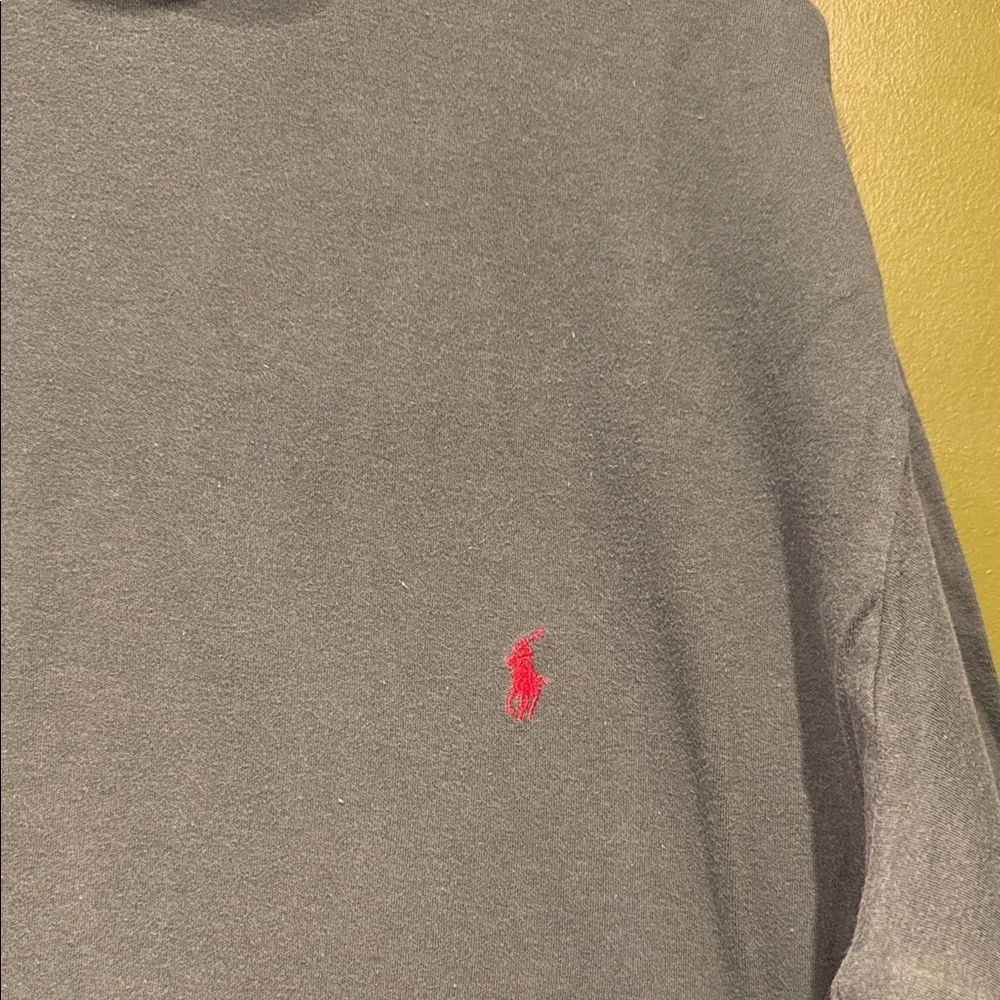 Polo by Ralph Lauren Green Cotton Turtleneck Shirt